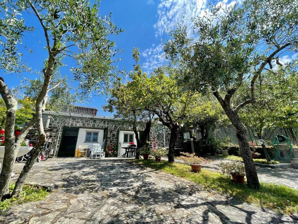 Rosy Apartment - Levanto, 5 Terre Exterior foto